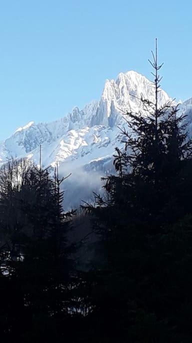 Chalet Les Charmilles - Vallee De Chamonix - 5 Chambres Les Houches Kültér fotó